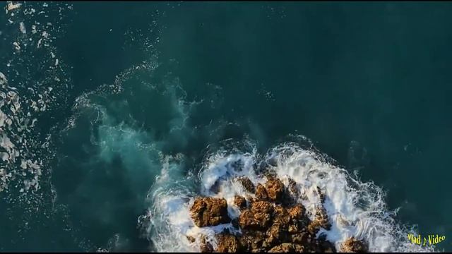 Ольга Алимханова Здесь и Сейчас МакSим cover смотреть онлайн