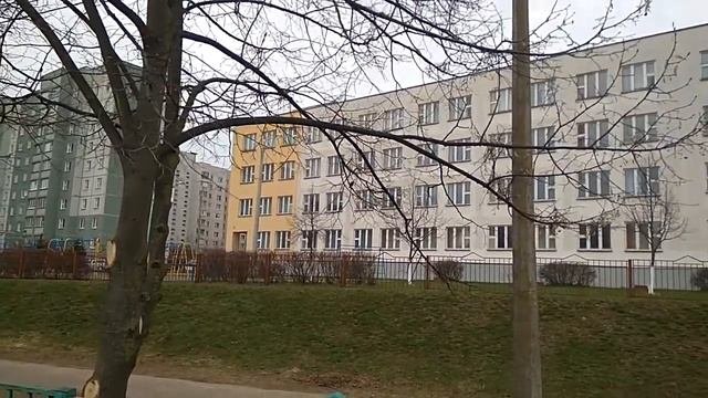 Синица поет