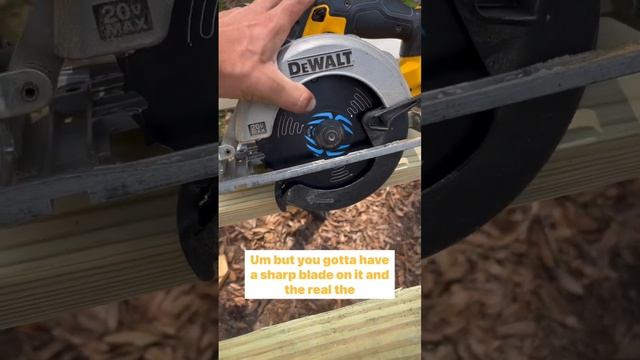 Dewalt DCS391 with a SPYDER Blade #tools #dewalt смотреть онлайн