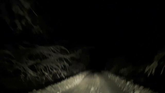 Ночная дорога в дремучем лесу. смотреть онлайн