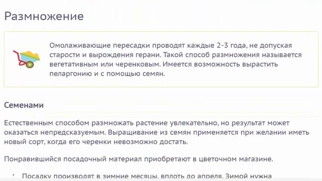 Пеларгония плющелистная уход, размножение, выращивание из семян в домашних условиях  фото