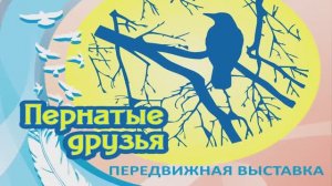 Выставка «Пернатые друзья».mp4