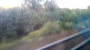 2015| Вид из окна электропоезда Софрино - Пушкино.