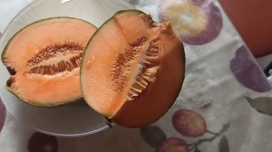 СУПЕР ДЫНЯ КС7049 САЖАТЬ ОБЯЗАТЕЛЬНО!