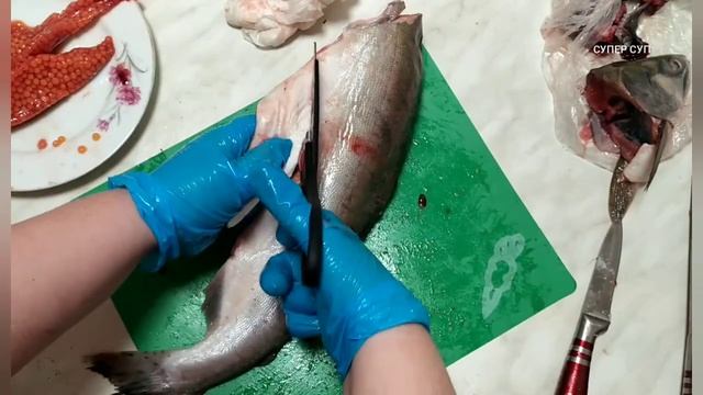 Соленая горбуша как сёмга за 2 часа. Простой рецепт. Как выбрать горбушу с икрой! #какпосолитьрыбу смотреть онлайн