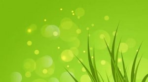 Тренировочные тесты