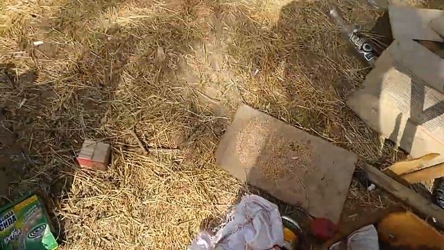 Ахтуба. Харабали (свиньи атаковали!) смотреть онлайн