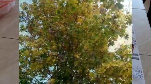 Осенние поделки. Аппликации из листьев с ребёнком 2 года