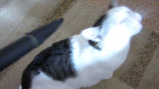 Сломанный пылесос смотреть онлайн