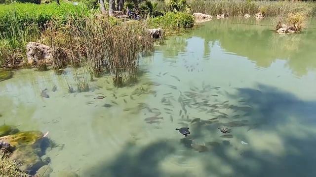 Турция 2022  ТУРЦИЯ СЕГОДНЯ  Новости Турции.  Отдых в Турции 2022