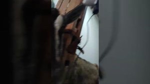 Доильный аппарат часть 1