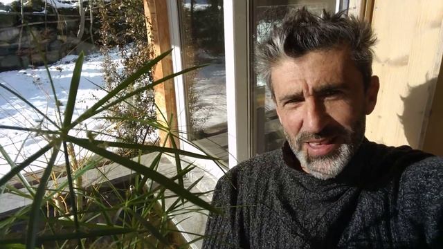 How to grow Papyrus смотреть онлайн