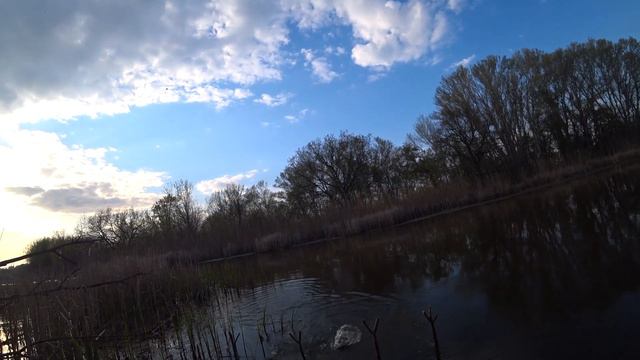 КАРАСЬ НА ПОПЛАВОК В ЗАЛИВЕ НА ВЕЧЕРНЕЙ ЗОРЬКЕ!!! смотреть онлайн