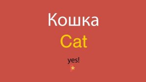 Как сказать Кошка по-английски