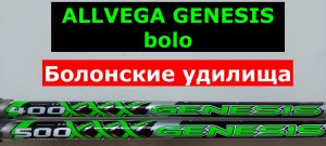 ALLVEGA GENESIS bolo - БОЛОНСКИЕ удилища. АЛЛВЕГА ДЖИНЕЗИС боло. Обзор болонских удилищ ALLVEGA