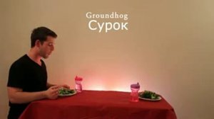 How Animals Eat Their Food   Kak zhivotnye edyat svoyu pischu 240