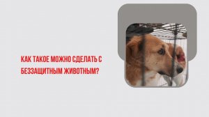 Как такое можно сделать с беззащитным животным?