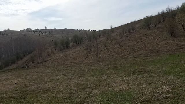 Металлокоп. Принесет ли Удачу половина Подковы? (клещи) смотреть онлайн