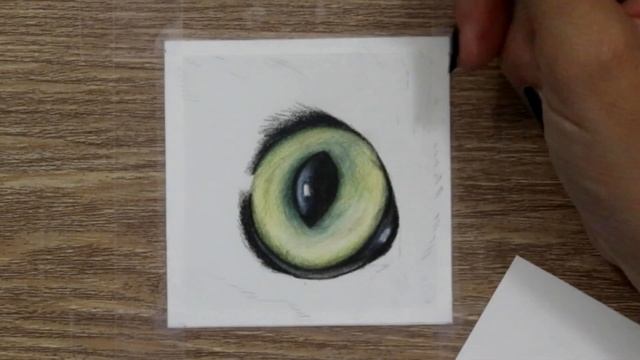TOP TIPS for Drawing REALISTIC Animal Eyes with Coloured Pencil смотреть онлайн