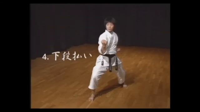 Экзаменационная программа по Кихон JKS 9КЮ смотреть онлайн