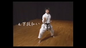 Экзаменационная программа по Кихон JKS 9КЮ