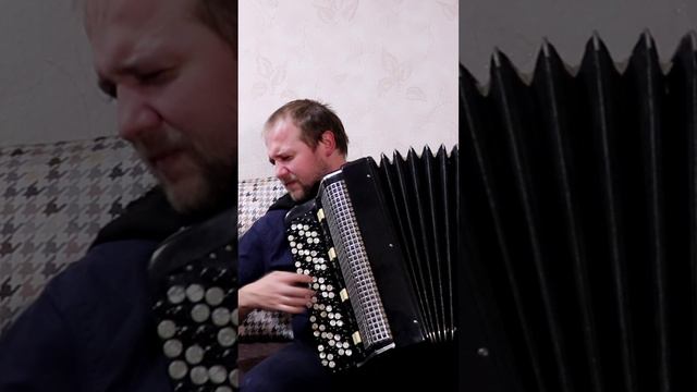 Игрушка на Баяне #игрушка #пьерришар #toy #accordion #accordioncover #баян #баянист #топбаянист