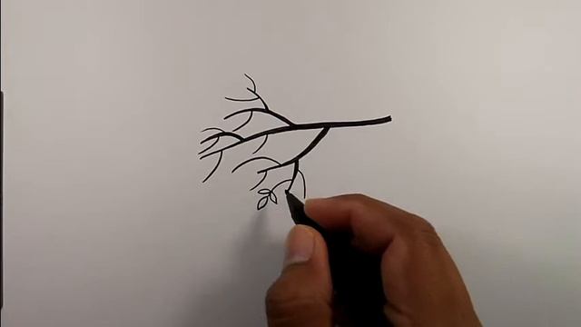 How to draw a tree branch coming towards you | Easy Drawings смотреть онлайн