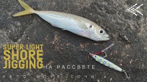 Super Light Shore Jigging. Чёрное море. Ловля ставриды на рассвете в Сочи.