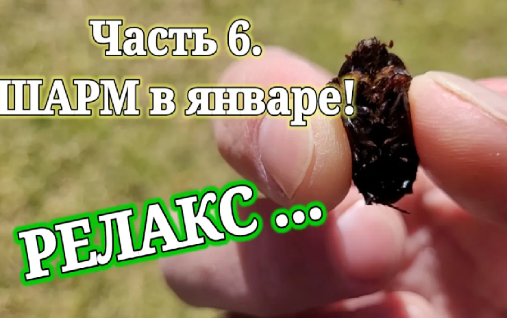 ПРОСТЫЕ РАДОСТИ В ROYAL NAAMA BAY RESORT! НЕОБЫЧНЫЙ постоялец...ЧТО КУШАЕМ на завтрак!_