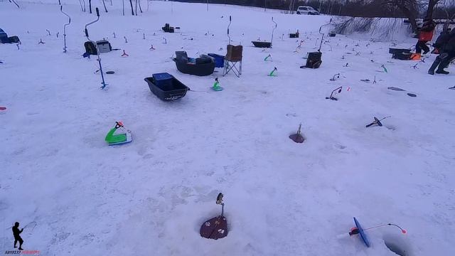 ЛОВЛЯ ФОРЕЛИ СО ЛЬДА! РЫБАЛКА НА НОВОМ ВОДОЕМЕ В КОКИНО!