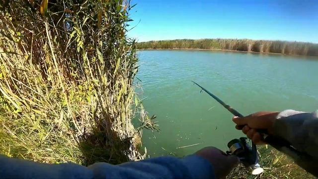 Рыбалка река Или. Протока Ир смотреть онлайн