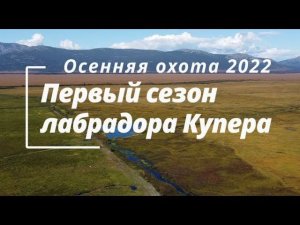Осенняя охота 2022 | Первый сезон Купера
