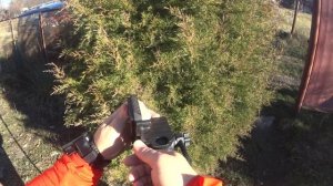 ОНЛАЙН ТРЕЙД.РУ - Монопод WF WT3958M видеомонопод с тремя ножками и видеоголовкой