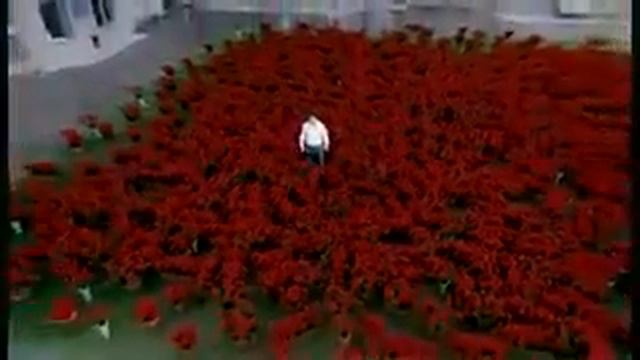 Миллион роз и облом. смотреть онлайн