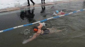 Winter swimming. Girls, swim 50 meters./Зимнее плавание. Девушки, заплыв на 50 метров.