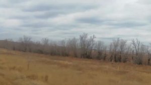 Зерноуборочный Комбайн Енисей.Уборка подсолнечника.