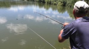 Рыбалка на карпа. Ловля карпа на поплавочную удочку. My fishing