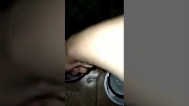 Как сделать хороший корм для культуры аулофорус смотреть онлайн