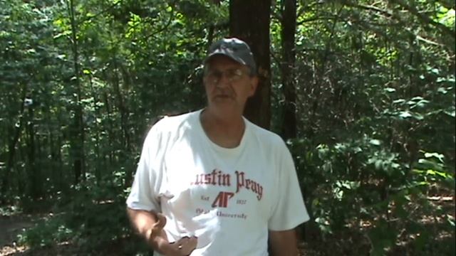 FAQ 18 (Compound Visit?) смотреть онлайн