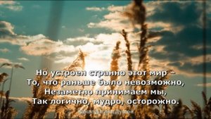 ЛЮДИ ПРИВЫКАЮТ КО ВСЕМУ...ДЛЯ ТЕХ, КОМУ ГРУСТНО! ПЁТР ДАВЫДОВ