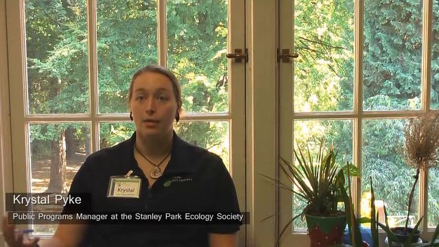 What is the difference between an ecologist and an environmentalist? смотреть онлайн