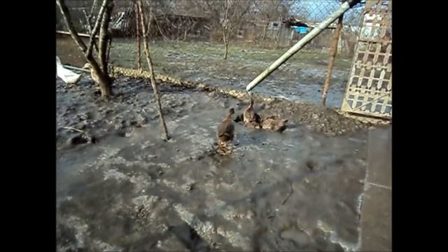 Конец света? смотреть онлайн