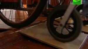 Скорая социальная помощь - Светлана Гуляйгородская