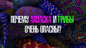 Почему аяуаска и грибы очень опасны?