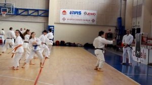 Kihon and Kumite at Italy Seminar FEIKAR 2019 by Sensei Katsu TJ SKIF Shuhari Stoke