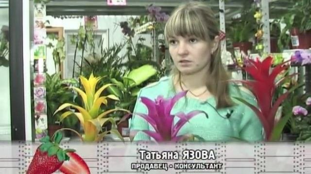 Эти растения поражают своими необычными цветами