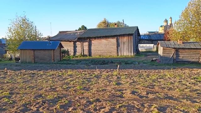 Будни Олега. Летят гуси. Заморозки. Навели порядок во дворе. смотреть онлайн