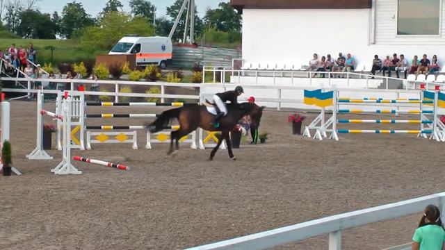 Форсаж. Гапонова Галина. Гран при 140 см. Конкур в Харькове. КСК "White Stable". 04.06.2016 г. смотреть онлайн
