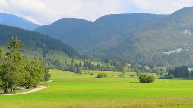 Лечебная музыка для души. Нежная музыка. Звуки леса. Звуки природы. смотреть онлайн