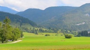 Лечебная музыка для души. Нежная музыка. Звуки леса. Звуки природы.